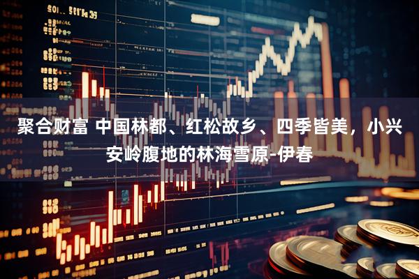 聚合财富 中国林都、红松故乡、四季皆美，小兴安岭腹地的林海雪原-伊春