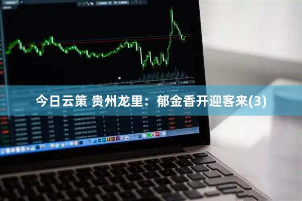 今日云策 贵州龙里：郁金香开迎客来(3)