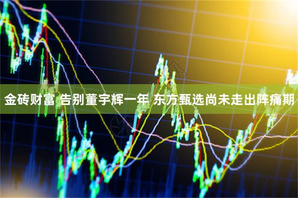 金砖财富 告别董宇辉一年 东方甄选尚未走出阵痛期