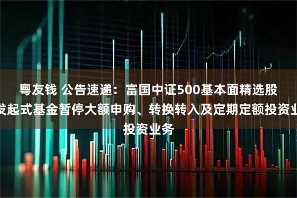 粤友钱 公告速递：富国中证500基本面精选股票发起式基金暂停大额申购、转换转入及定期定额投资业务