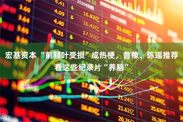 宏基资本 “前额叶受损”成热梗，鲁豫、陈瑶推荐看这些纪录片“养脑”