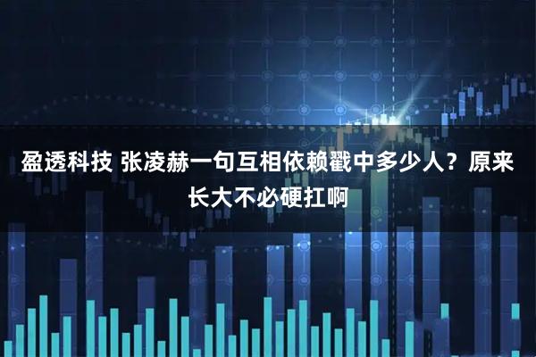 盈透科技 张凌赫一句互相依赖戳中多少人？原来长大不必硬扛啊