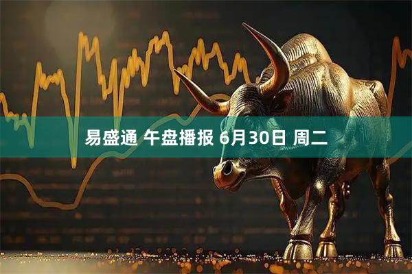 易盛通 午盘播报 6月30日 周二
